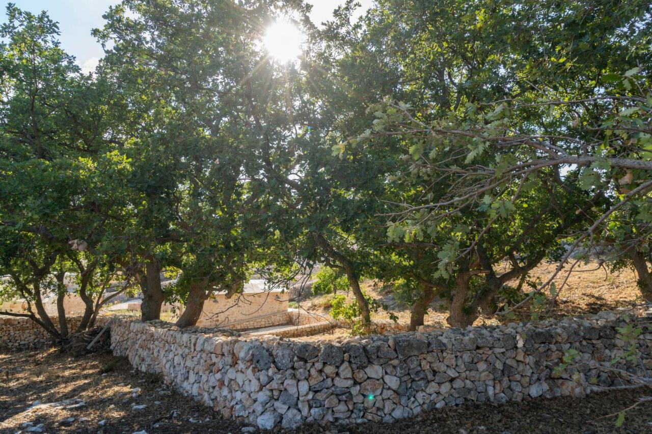 Donnapaola Modern Farm Villa Алтамура Екстериор снимка